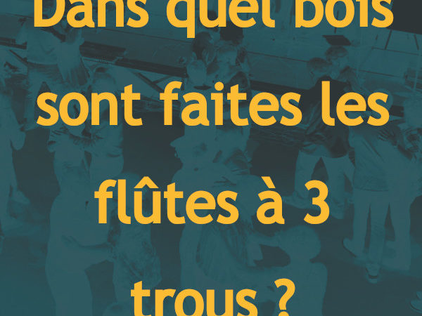 06 : Dans quel bois sont faites les flûtes à 3 trous ?